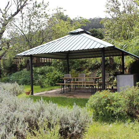 Senani Colonial Holiday Bungalow Nuwara Eliya Zewnętrze zdjęcie