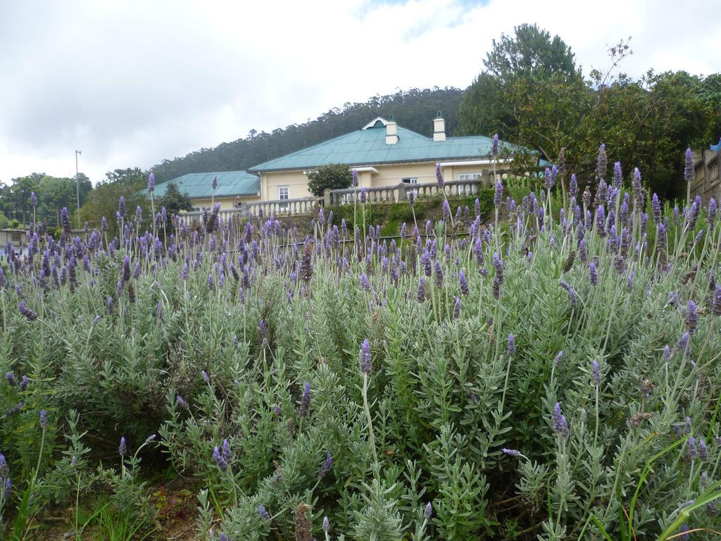 Senani Colonial Holiday Bungalow Nuwara Eliya Pokój zdjęcie