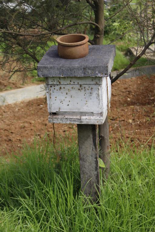 Senani Colonial Holiday Bungalow Nuwara Eliya Zewnętrze zdjęcie